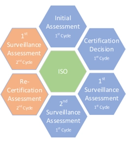The 3-year surveillance cycle diagram